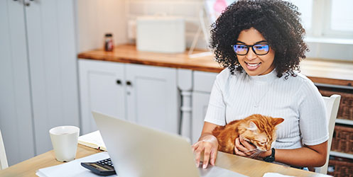 cat owner on a laptop